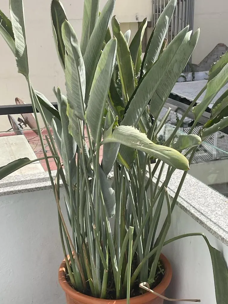 Central, Terrasse, Confortable - Bleue Residence Casablanca 0*,  Marocco